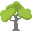 Rochester Tree Removal Service
