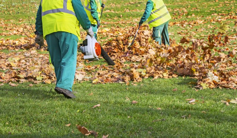 Leaf Blowing