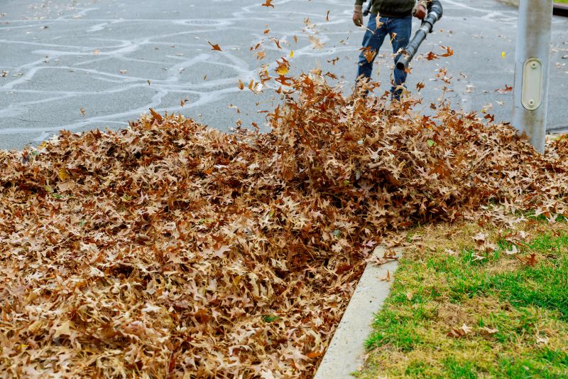 Leaf Disposal