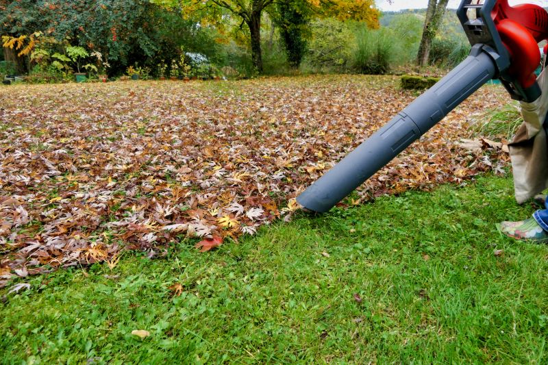 Efficient Leaf Removal