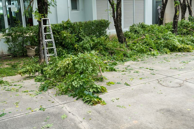 Summer Removal Considerations