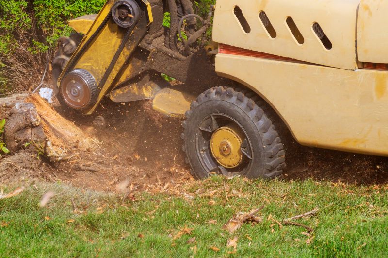 Stump Grinding