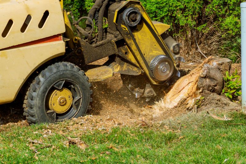 Stump Removal Equipment