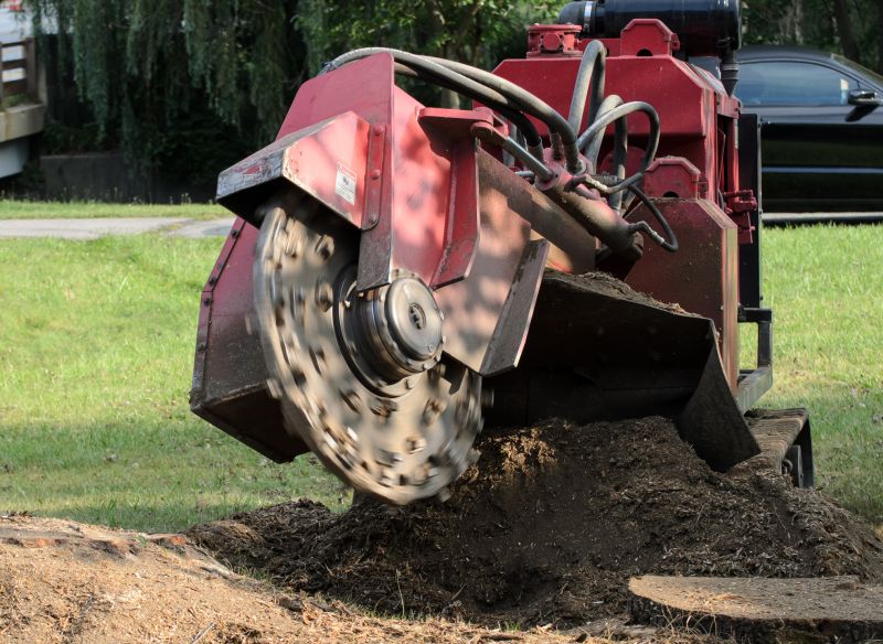 Tree Stump Grinding Process