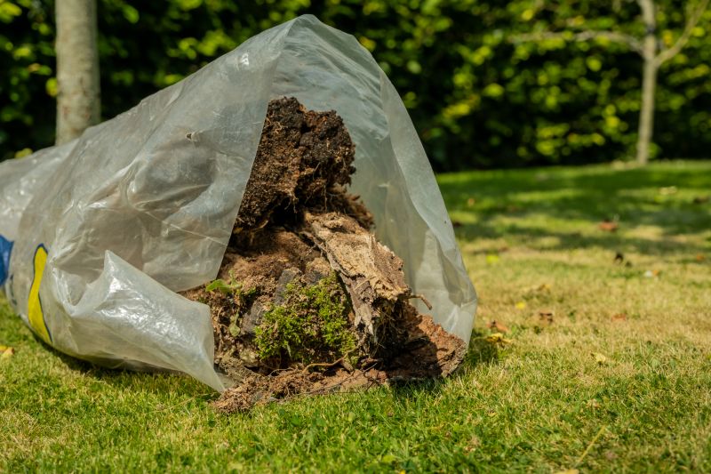 Summer Tree Removal