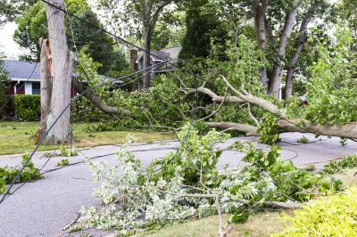 Storm Damage Response